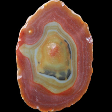 Agate banded slice 416g in sunlight - Rocks and Things Store