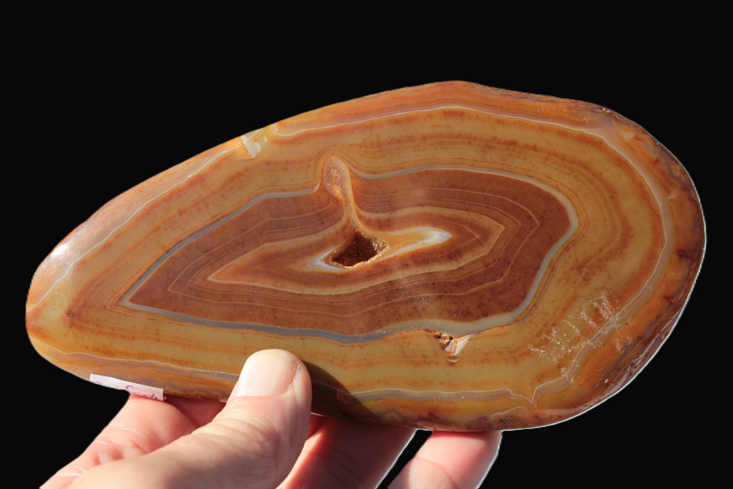 Agate banded slice 403g Rocks and Things