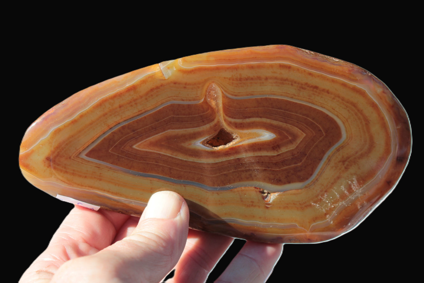 Agate banded slice 403g Rocks and Things