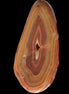 Agate banded slice 403g - Rocks and Things Store