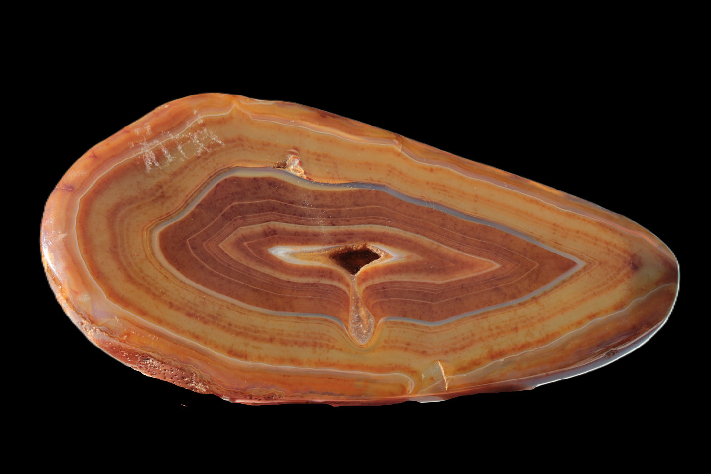 Agate banded slice 403g Rocks and Things