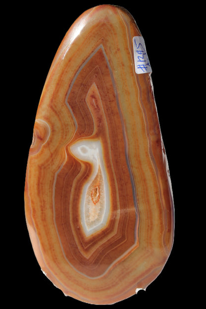 Agate banded slice 403g Rocks and Things