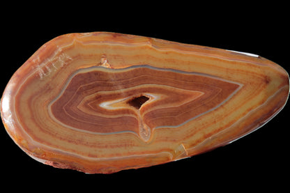 Agate banded slice 403g Rocks and Things