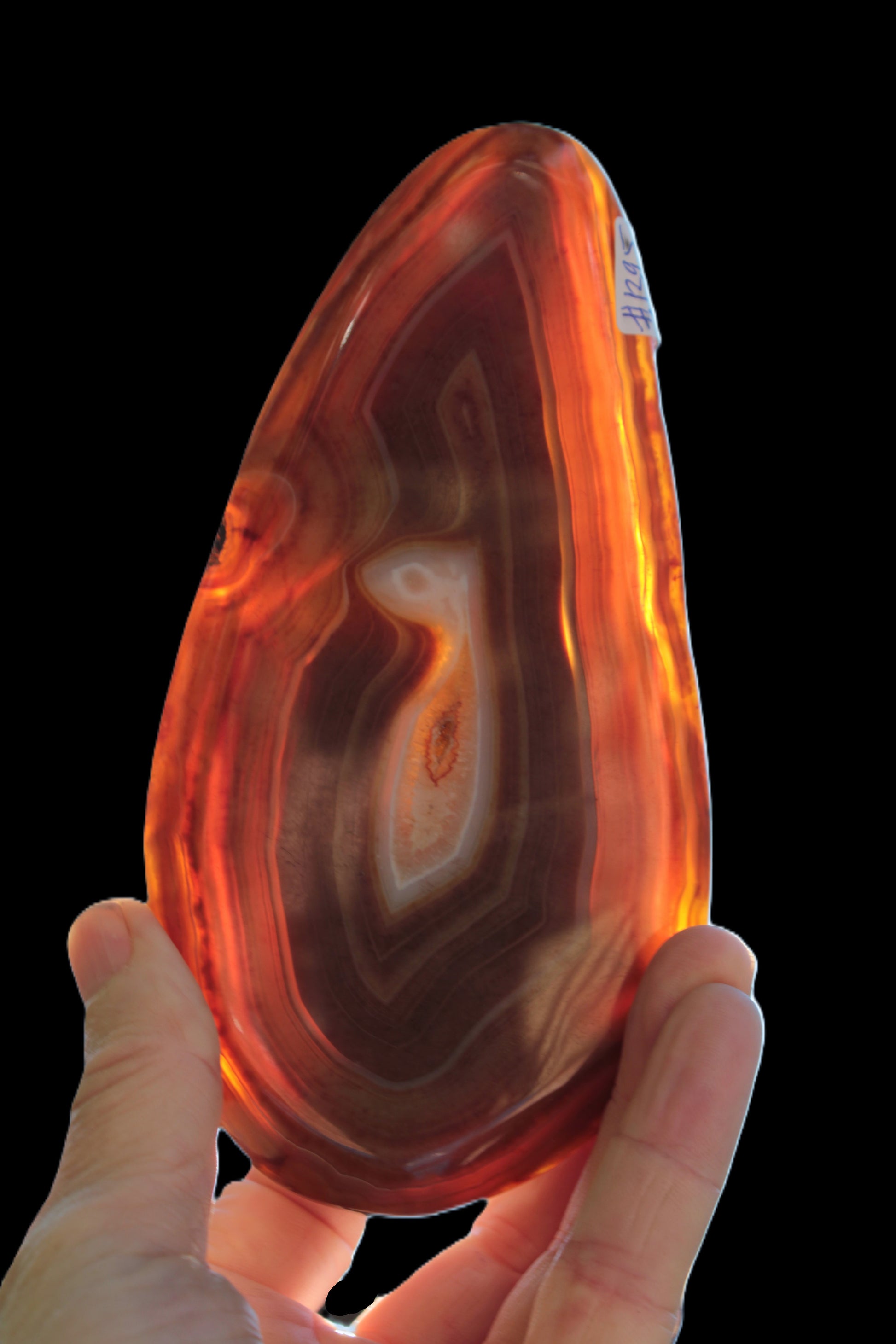 Agate banded slice 403g Rocks and Things