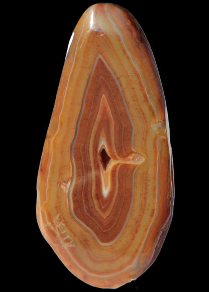 Agate banded slice 403g Rocks and Things