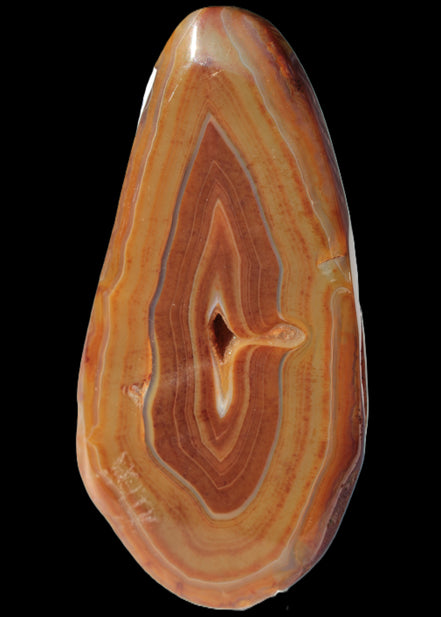 Agate banded slice 403g - Rocks and Things Store