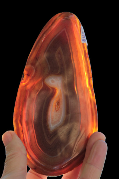 Agate banded slice 403g Rocks and Things