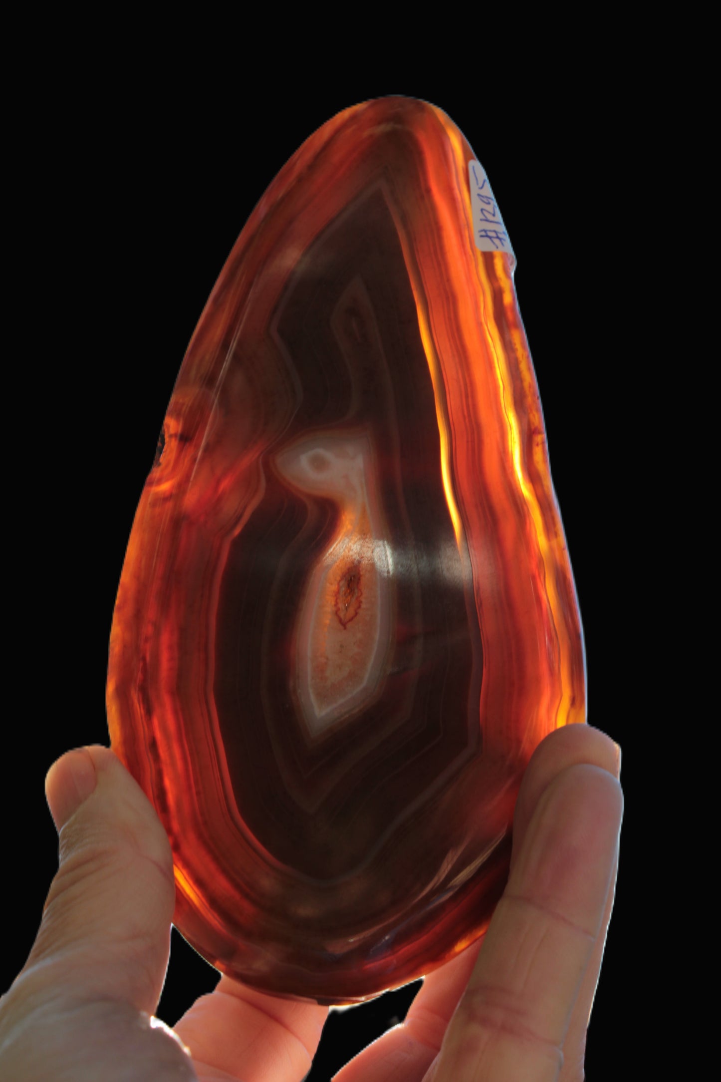 Agate banded slice 403g Rocks and Things