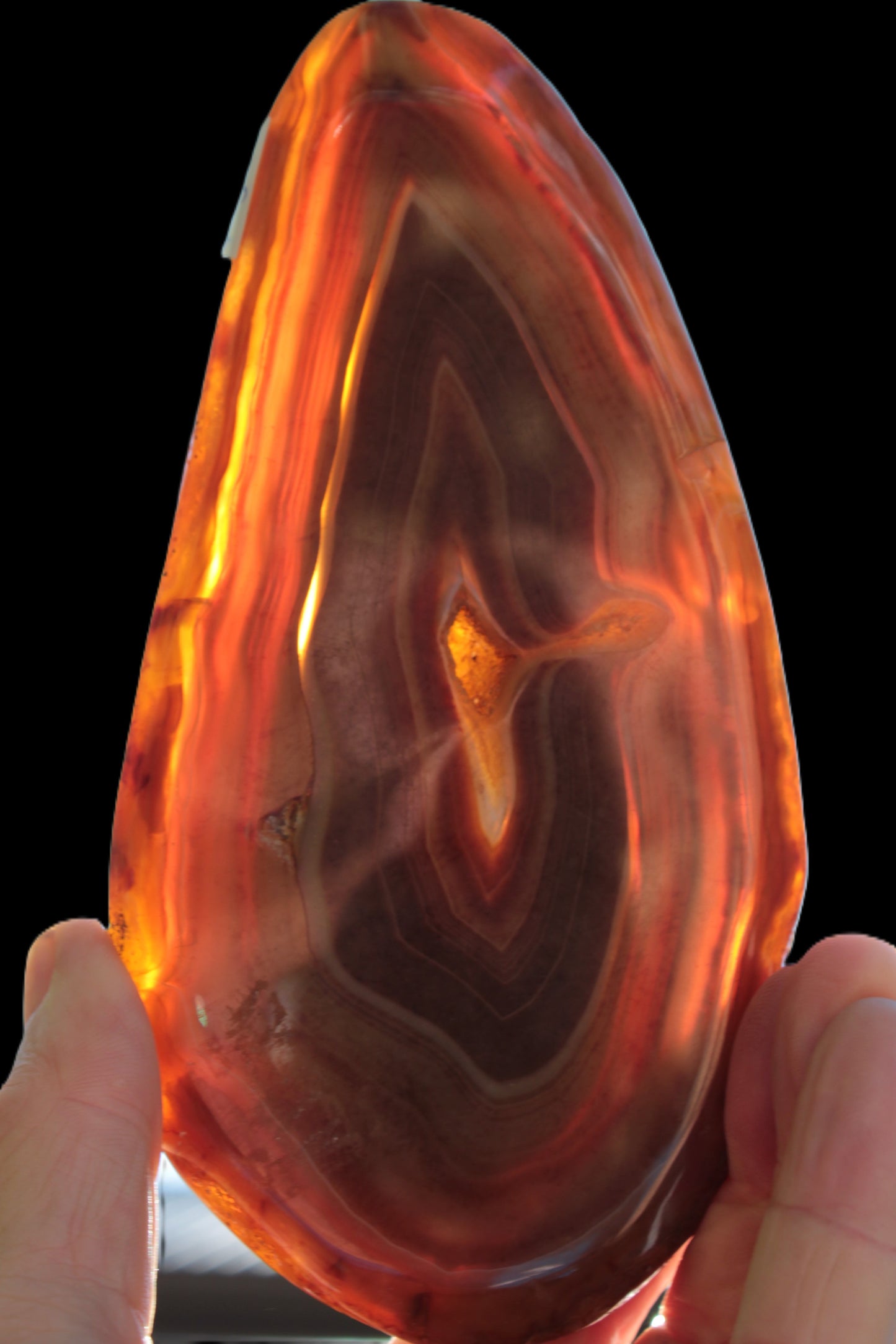 Agate banded slice 403g Rocks and Things