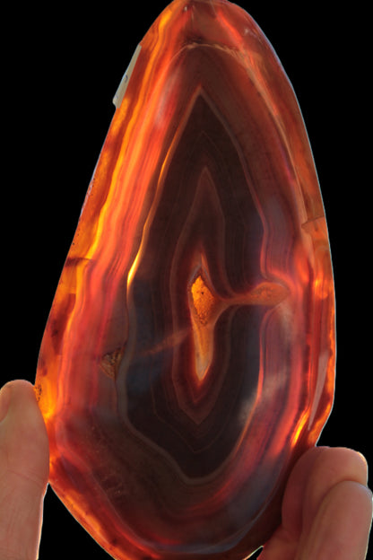 Agate banded slice 403g Rocks and Things