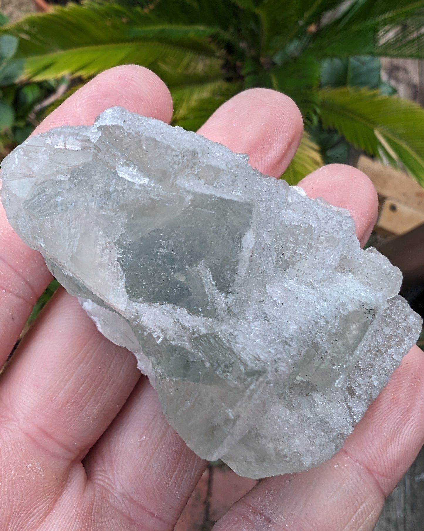 Fluorite translucent cubic cluster 112g Rocks and Things