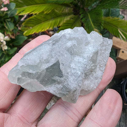 Fluorite translucent cubic cluster 112g Rocks and Things