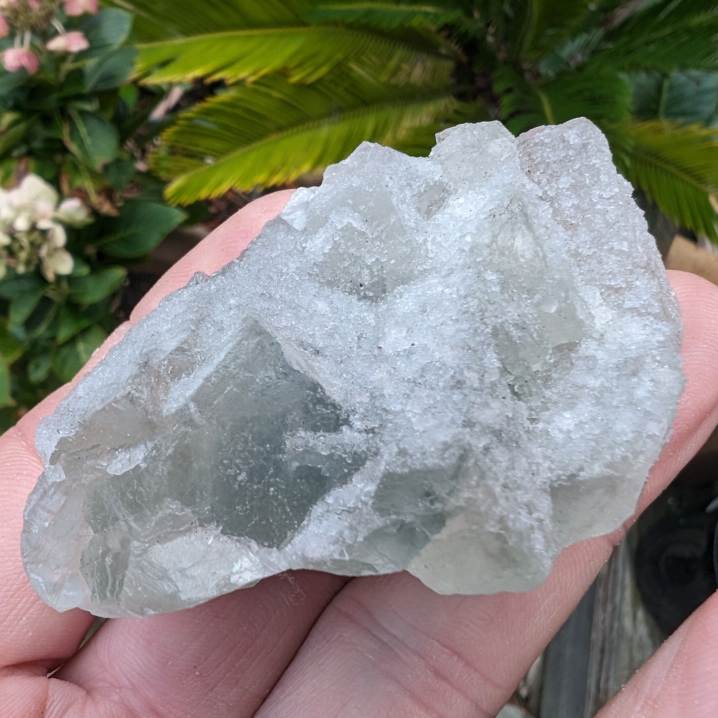 Fluorite translucent cubic cluster 112g Rocks and Things