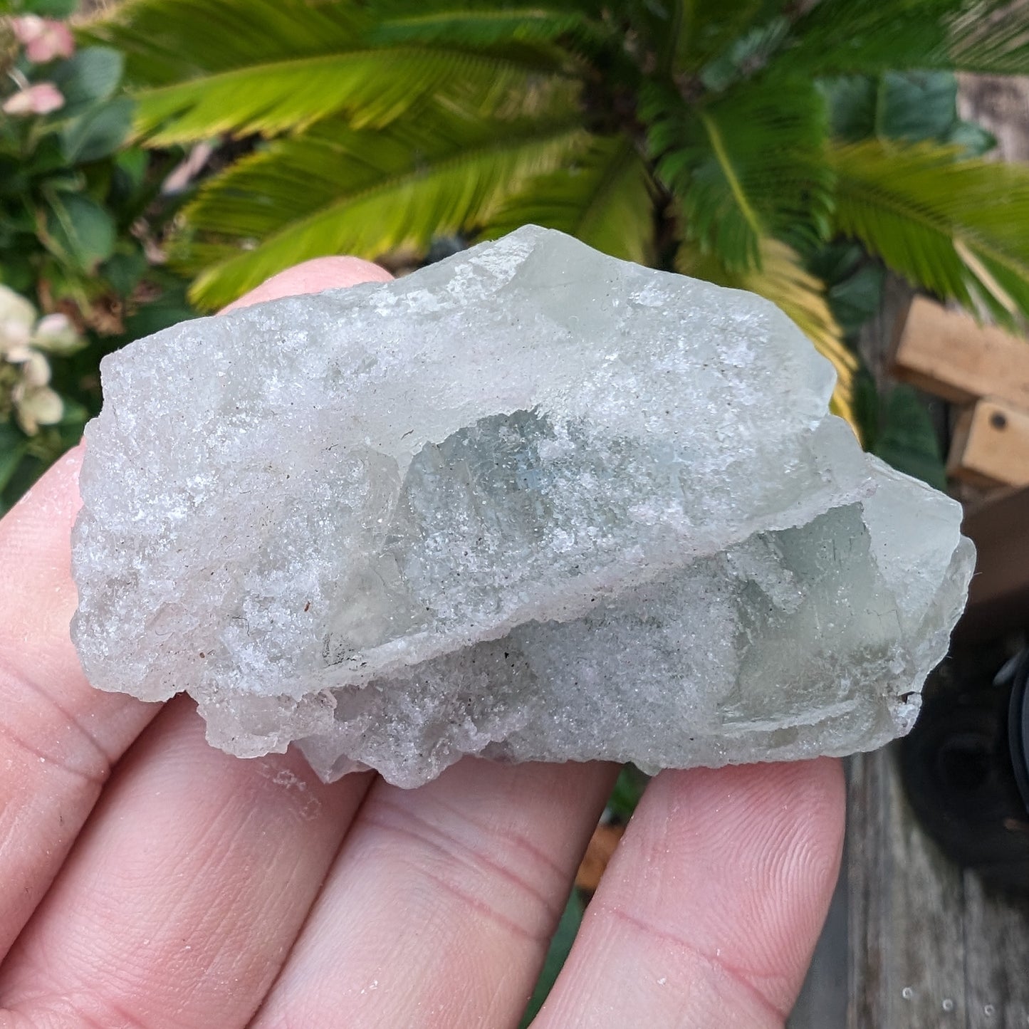 Fluorite translucent cubic cluster 112g Rocks and Things