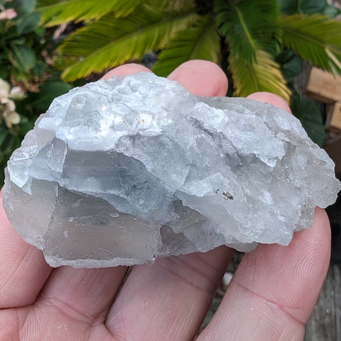 Fluorite translucent cubic cluster 112g Rocks and Things