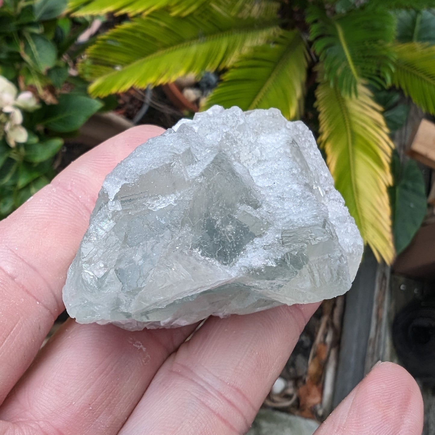 Fluorite translucent cubic cluster 112g Rocks and Things