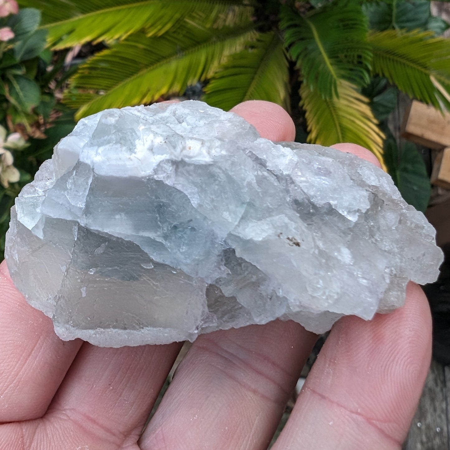 Fluorite translucent cubic cluster 112g Rocks and Things