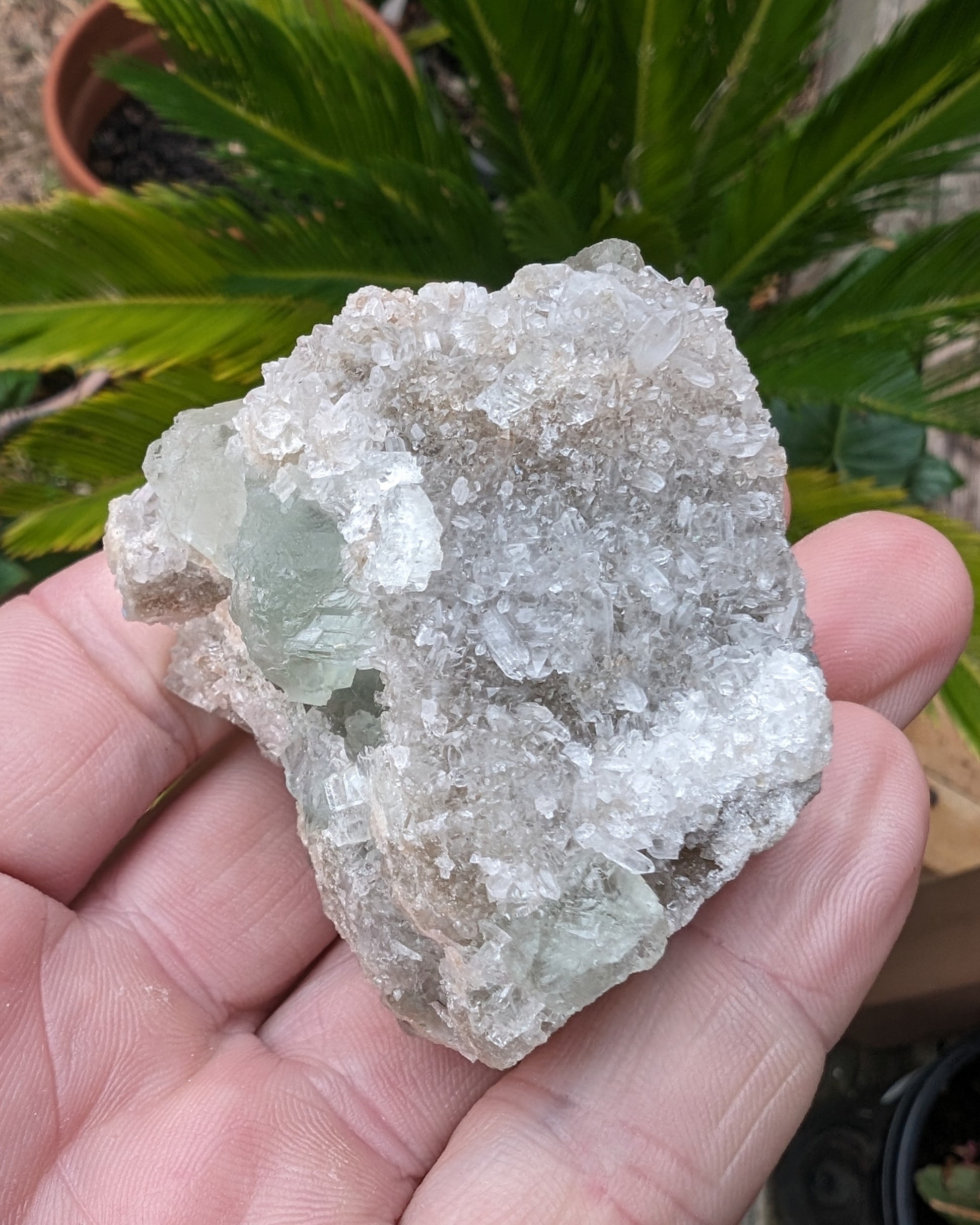 Green cubic Fluorite 97g Rocks and Things