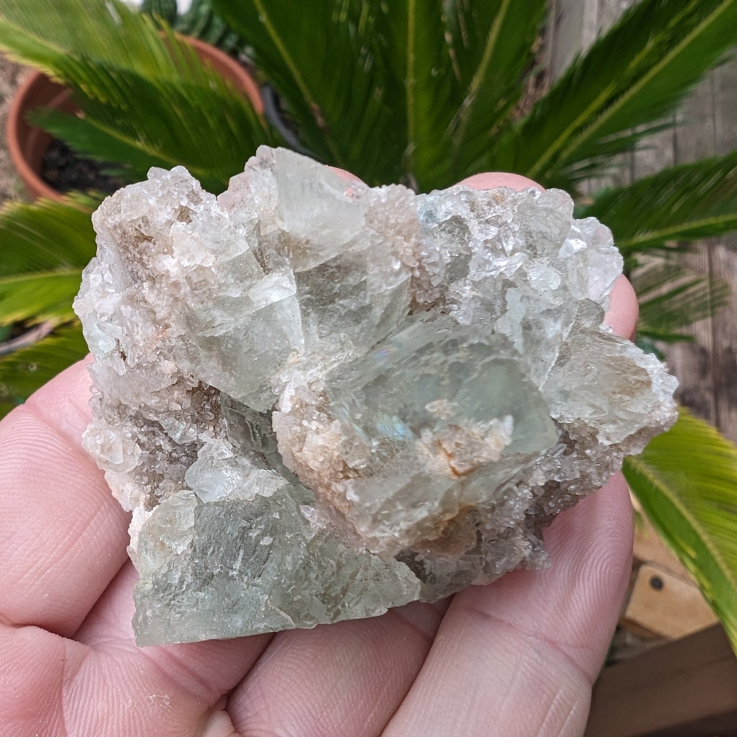 Green cubic Fluorite 97g Rocks and Things