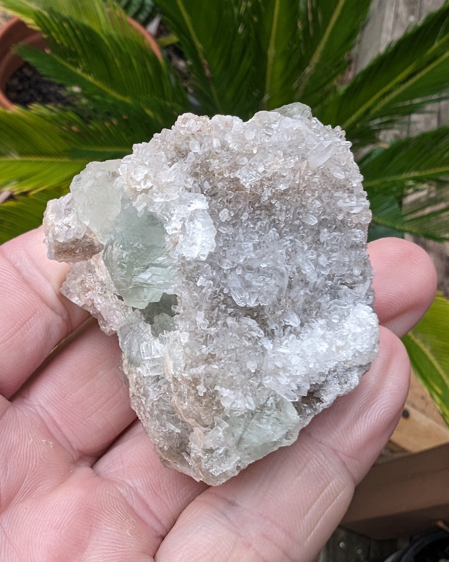 Green cubic Fluorite 97g Rocks and Things