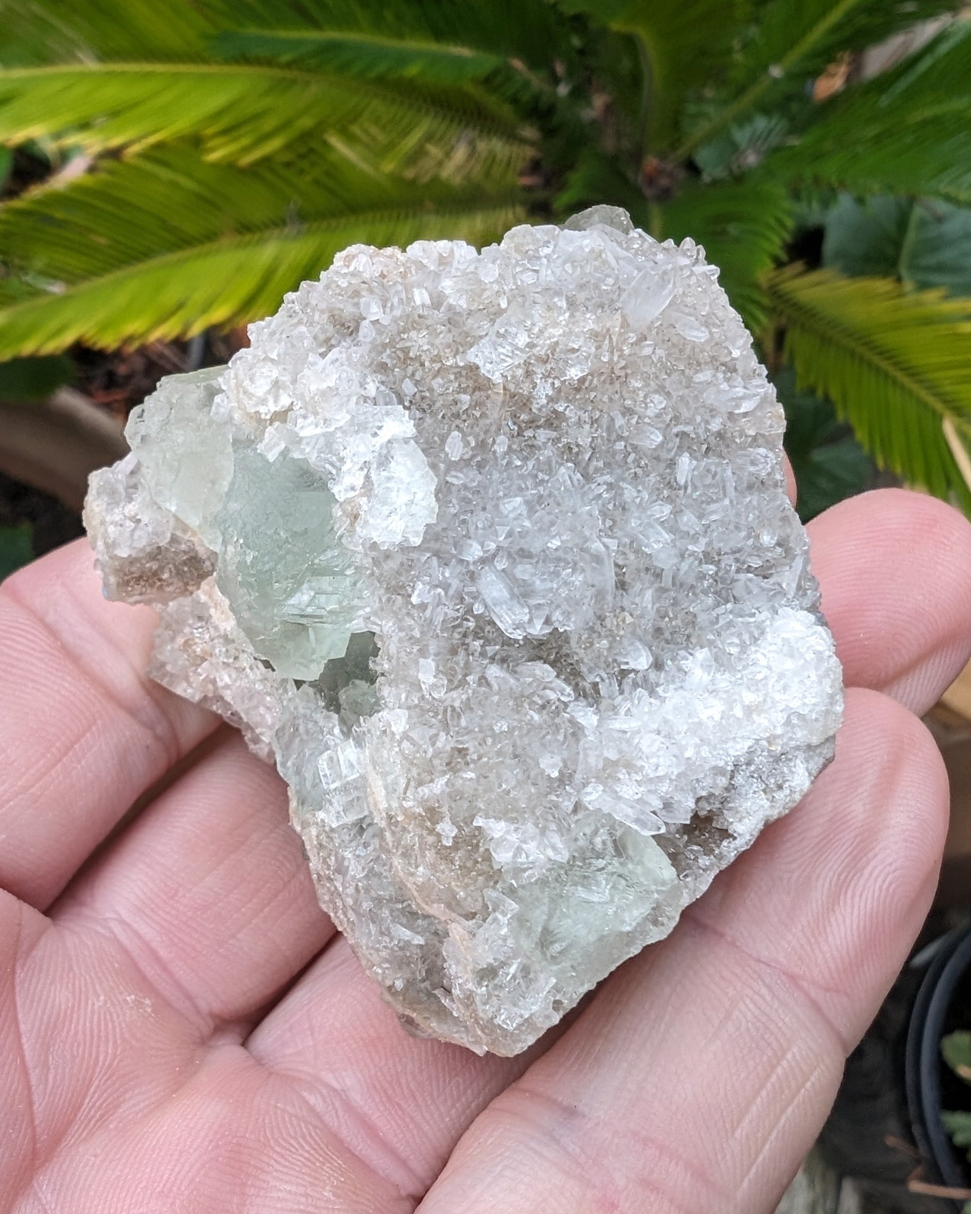 Green cubic Fluorite 97g Rocks and Things