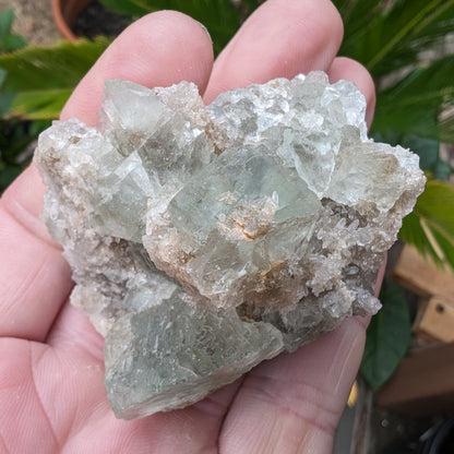 Green cubic Fluorite 97g Rocks and Things