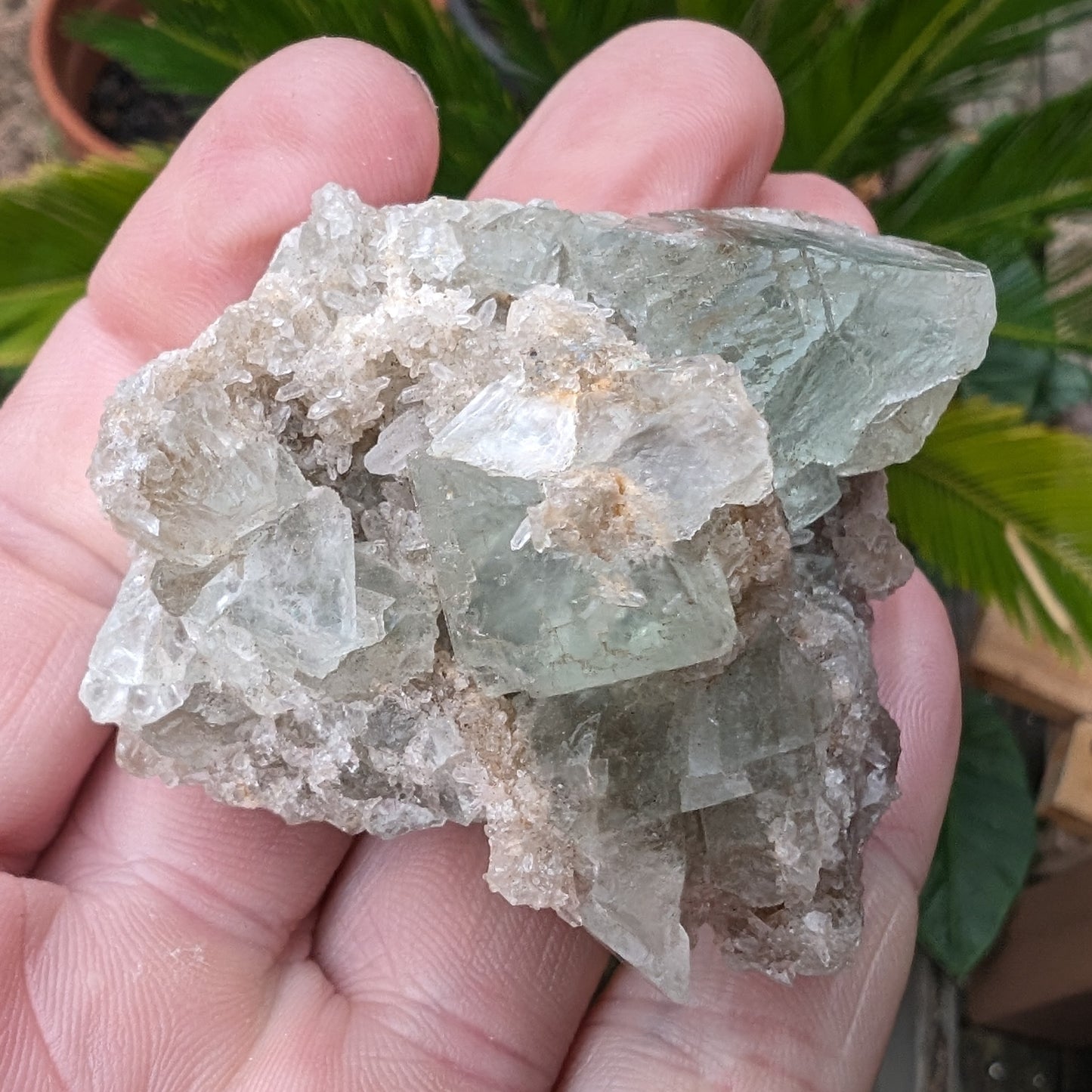 Green cubic Fluorite 97g Rocks and Things