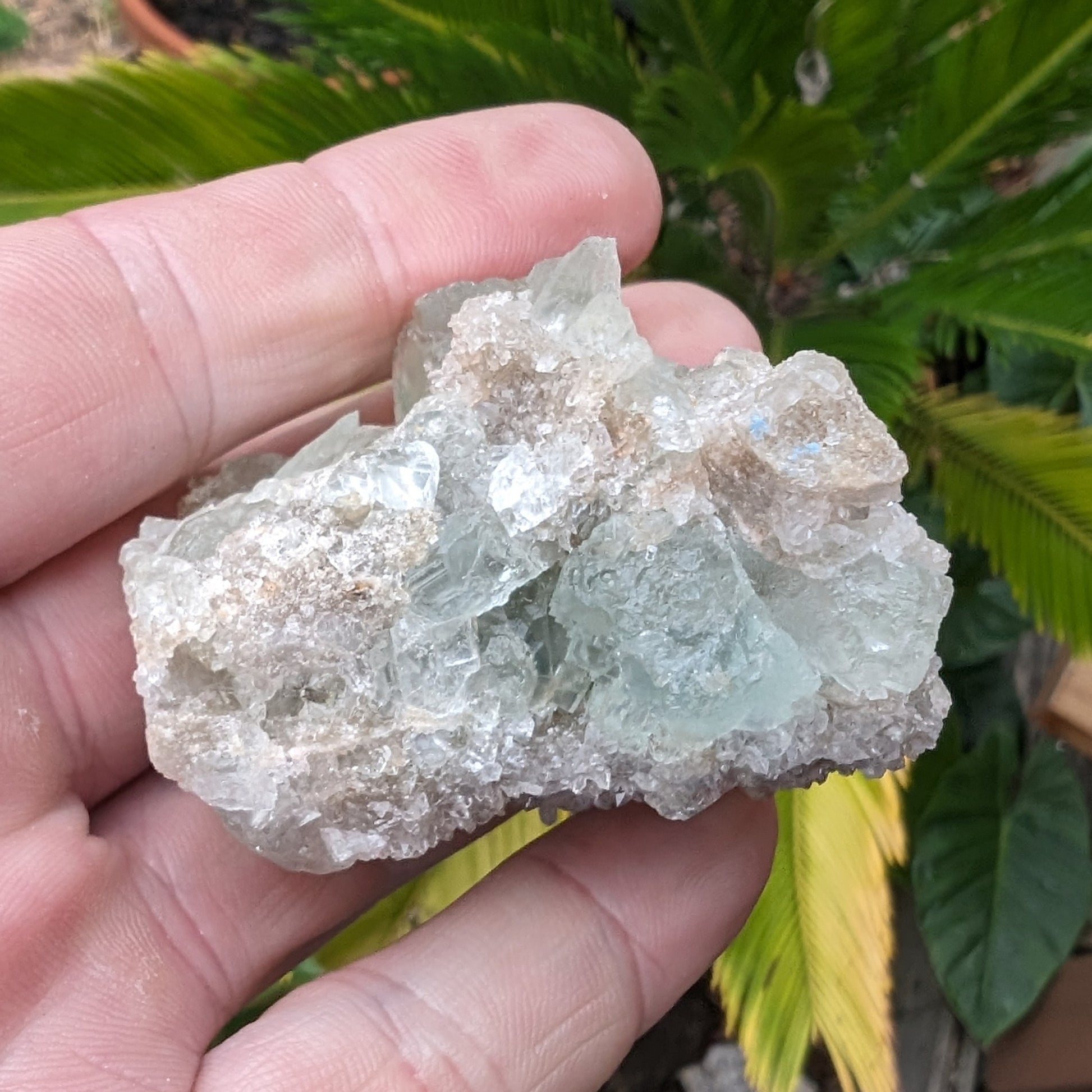 Green cubic Fluorite 97g Rocks and Things