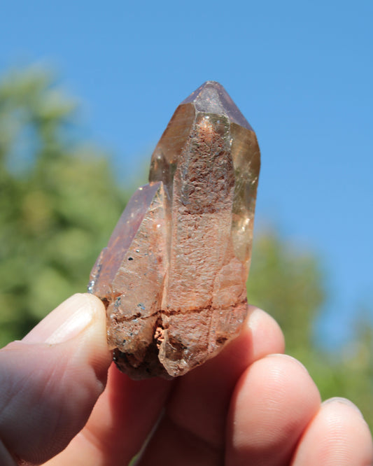 Golden Hair Rutilated Quartz 40g Rocks and Things