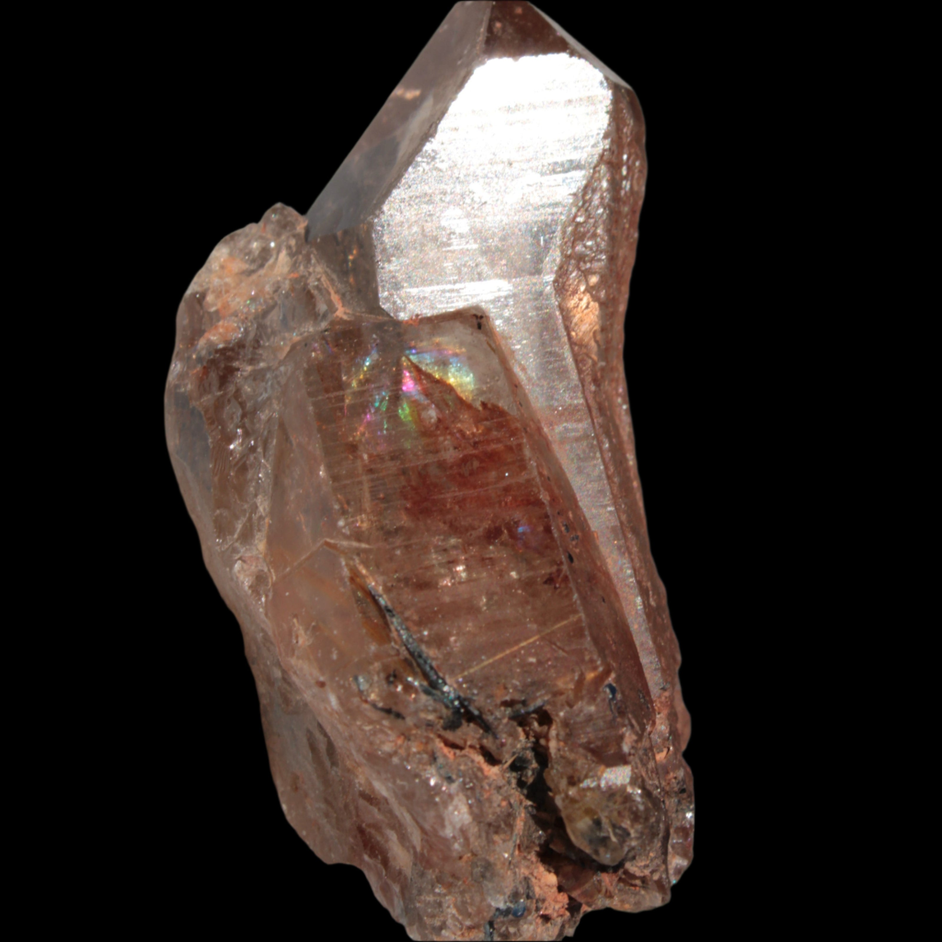 Golden Hair Rutilated Quartz 40g in sunlight - Rocks and Things Store