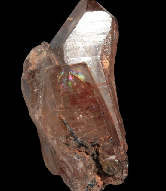 Golden Hair Rutilated Quartz 40g in sunlight - Rocks and Things Store