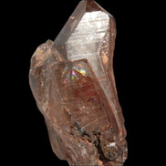 Golden Hair Rutilated Quartz 40g in sunlight - Rocks and Things Store