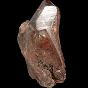 Golden Hair Rutilated Quartz 40g in sunlight - Rocks and Things Store