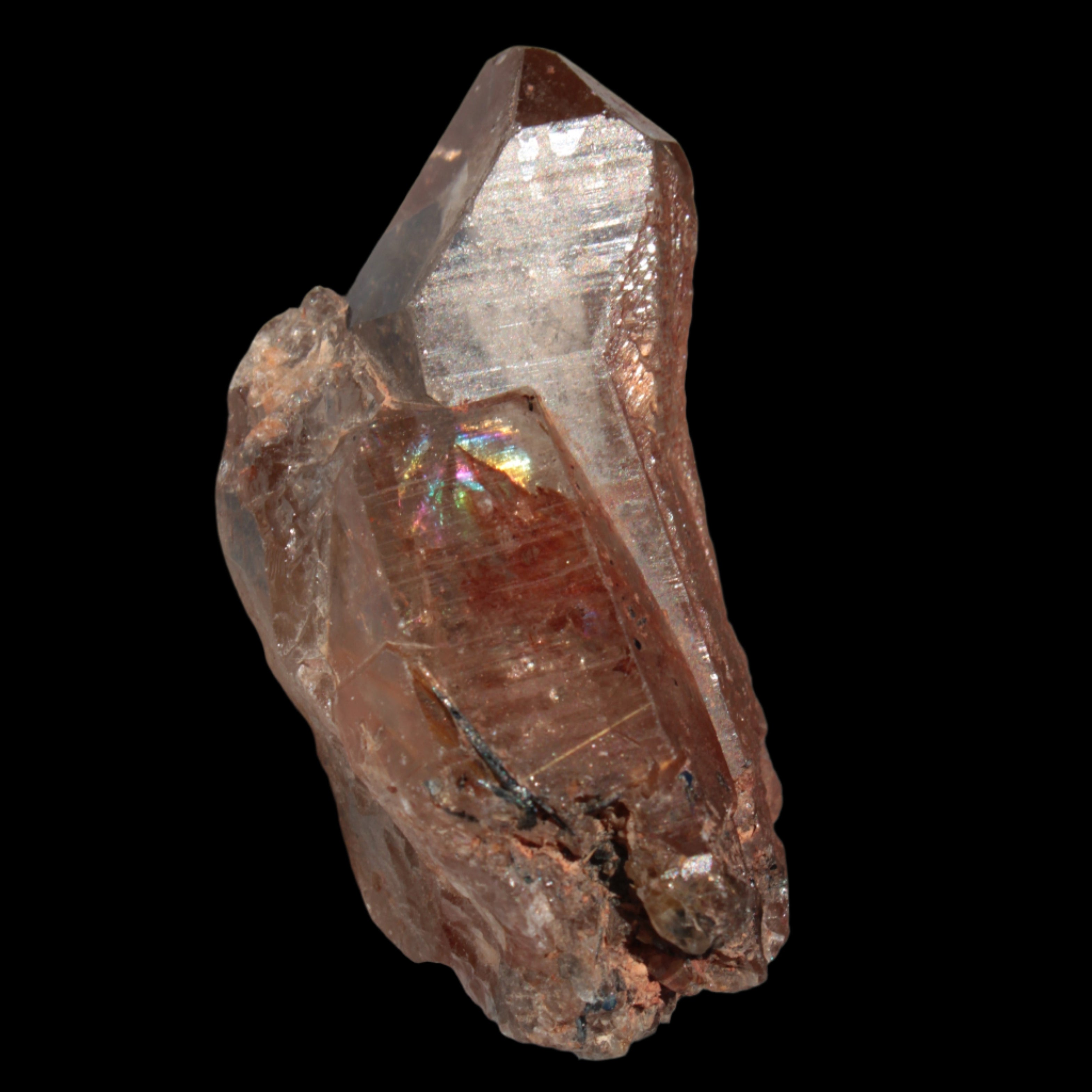 Golden Hair Rutilated Quartz 40g in sunlight - Rocks and Things Store