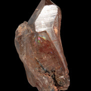 Golden Hair Rutilated Quartz 40g in sunlight - Rocks and Things Store