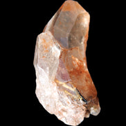 Golden Hair Rutilated Quartz 40g in sunlight - Rocks and Things Store