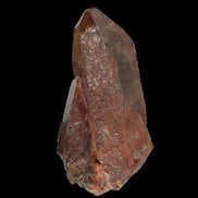 Golden Hair Rutilated Quartz 40g in sunlight - Rocks and Things Store