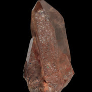 Golden Hair Rutilated Quartz 40g in sunlight - Rocks and Things Store