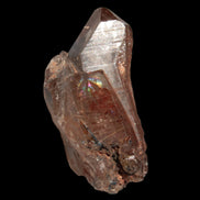 Golden Hair Rutilated Quartz 40g in sunlight - Rocks and Things Store