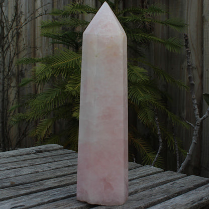 Rose Quartz Obelisk 3519g