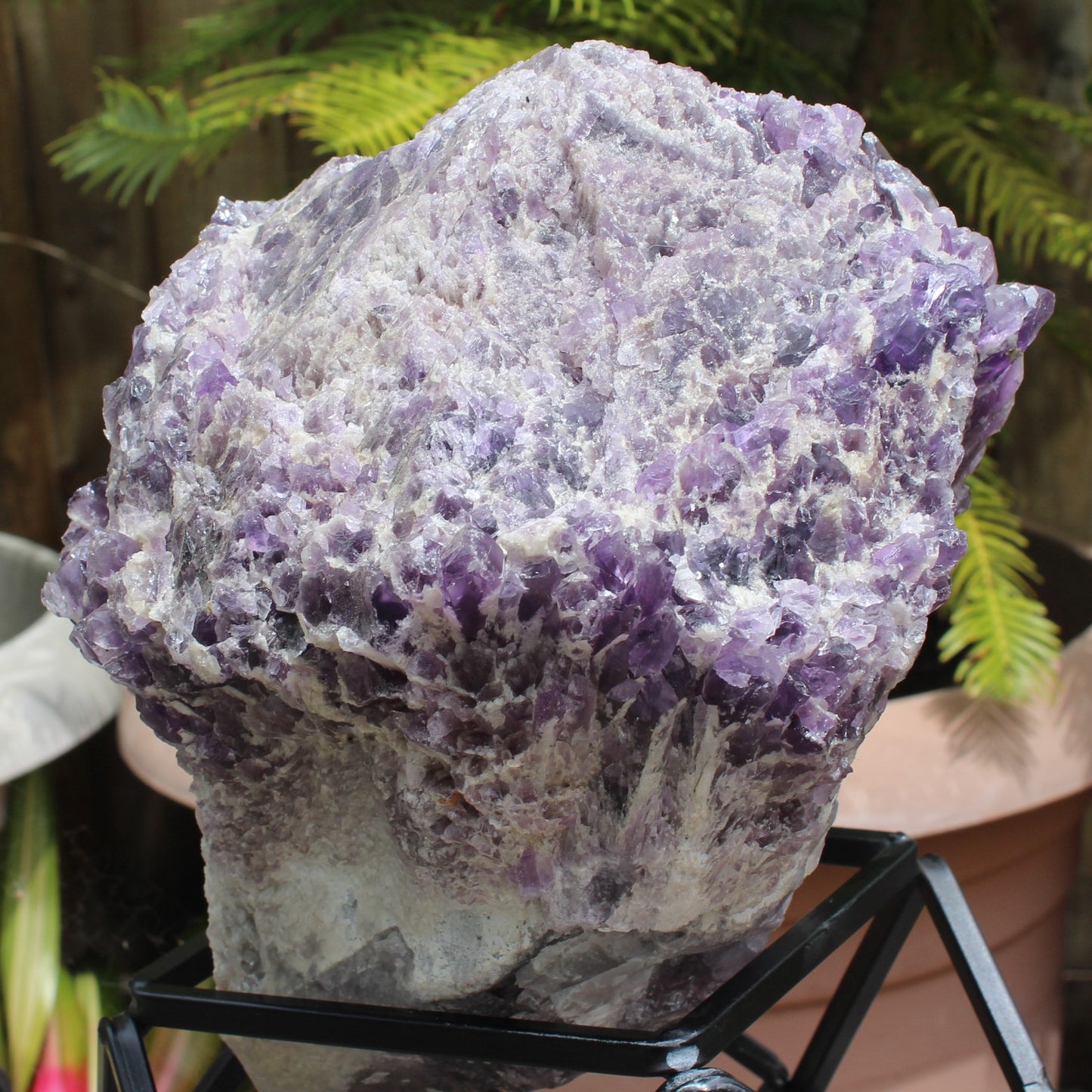 Amethyst bouquet crystal cluster 11524g