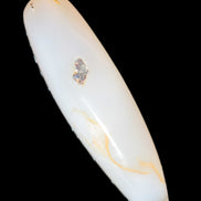 Agate aquatic plants massage stick 108g Rocks and Things