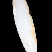 Agate aquatic plants massage stick 108g Rocks and Things