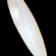 Agate aquatic plants massage stick 108g Rocks and Things