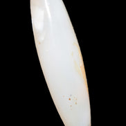 Agate aquatic plants massage stick 108g Rocks and Things