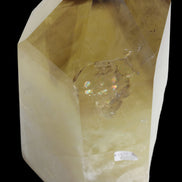 Citrine obelisk 5840g in sunshine