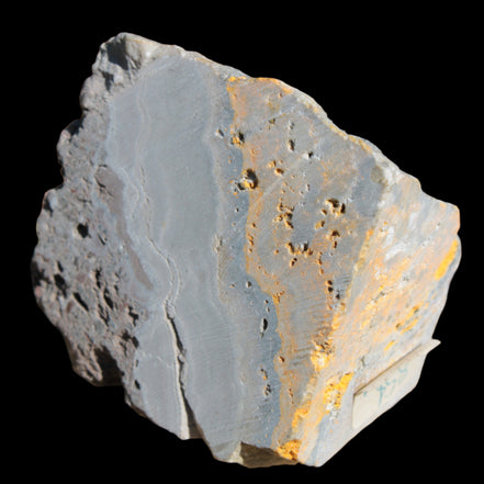 Bumblebee Jasper 170g - Rocks and Things Store
