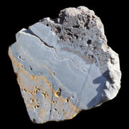 Bumblebee Jasper 170g - Rocks and Things Store