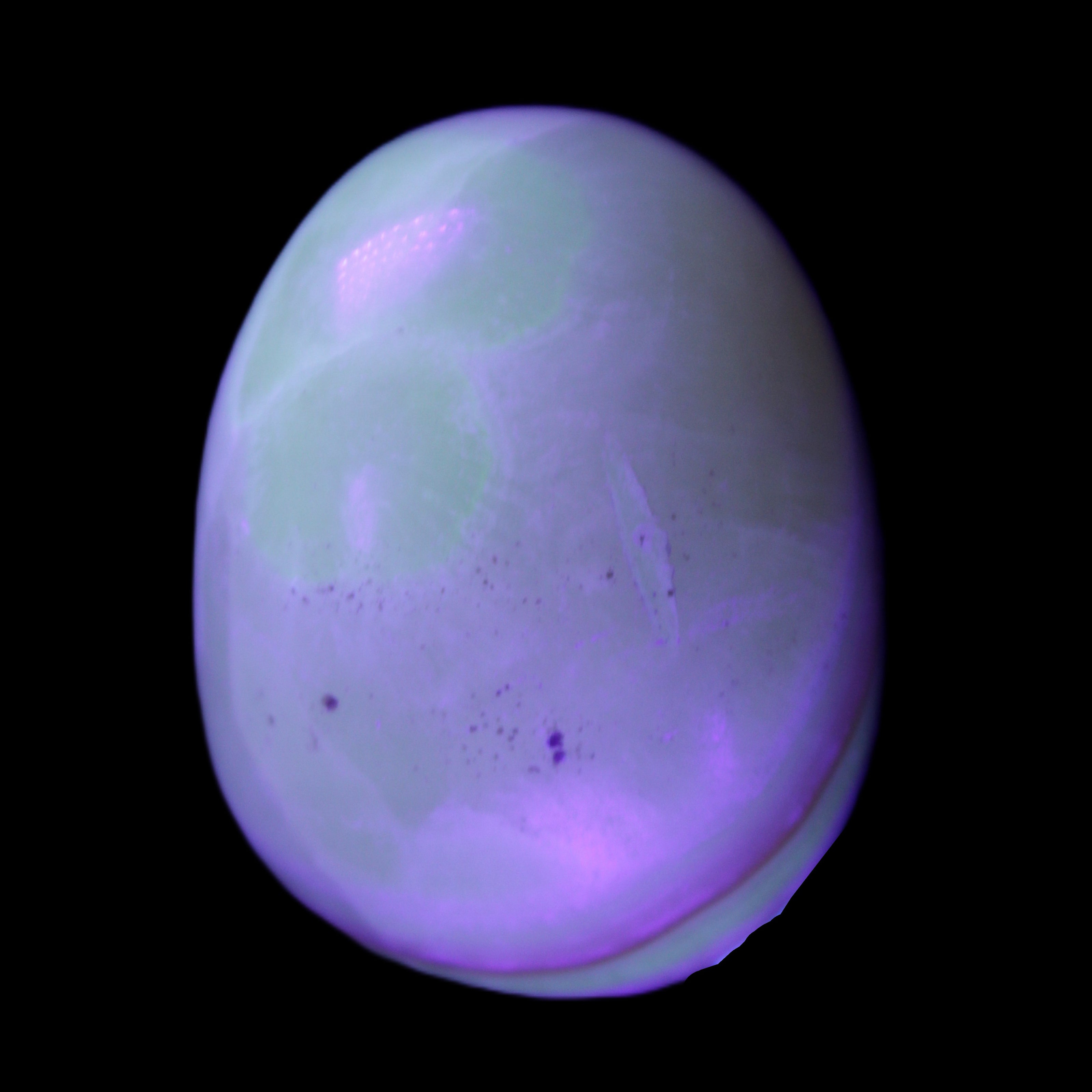 Yellow Banded Calcite egg 118g in UV light - Rocks and Things Store
