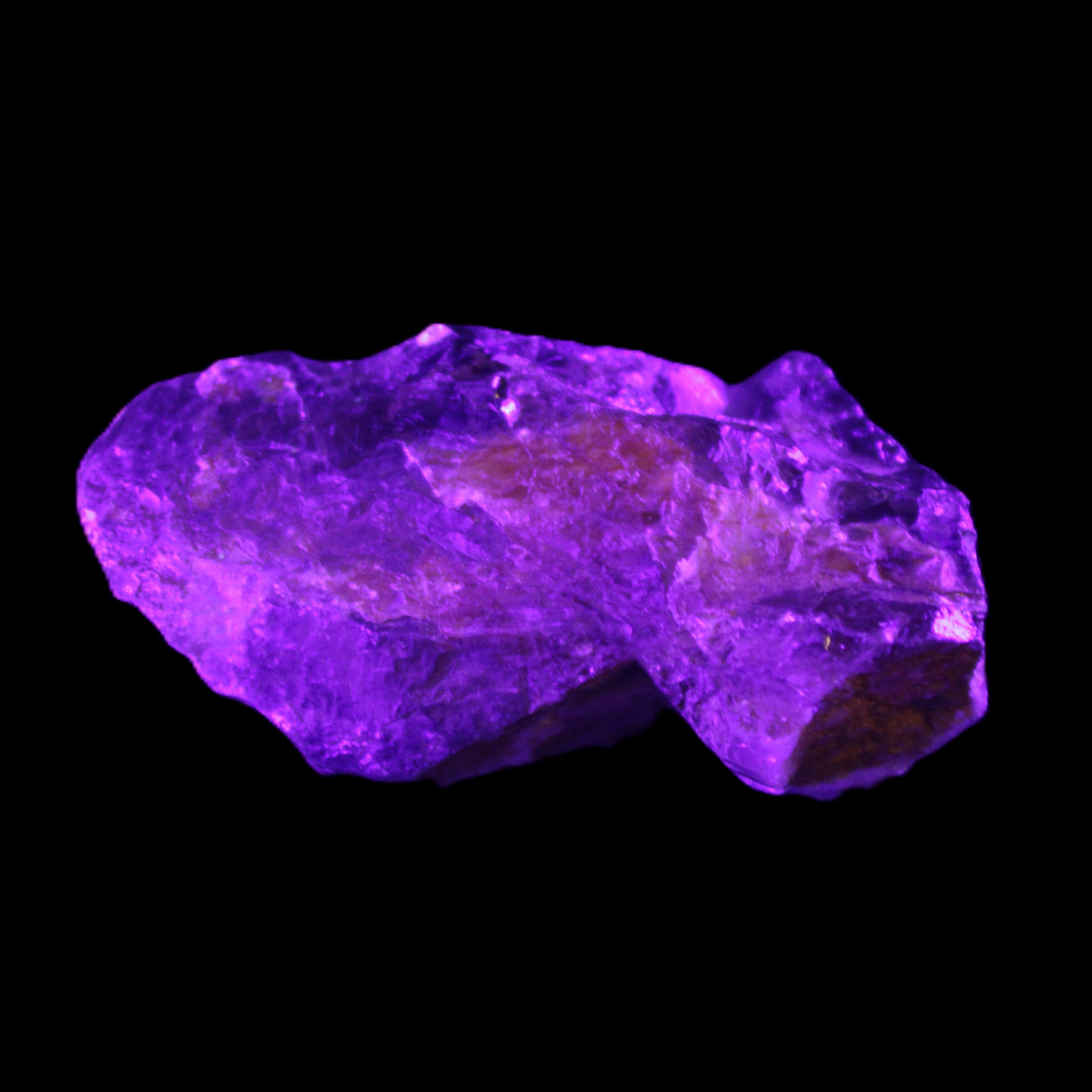Dark Fenster Smoky Quartz 62g in UV light - Rocks and Things Store